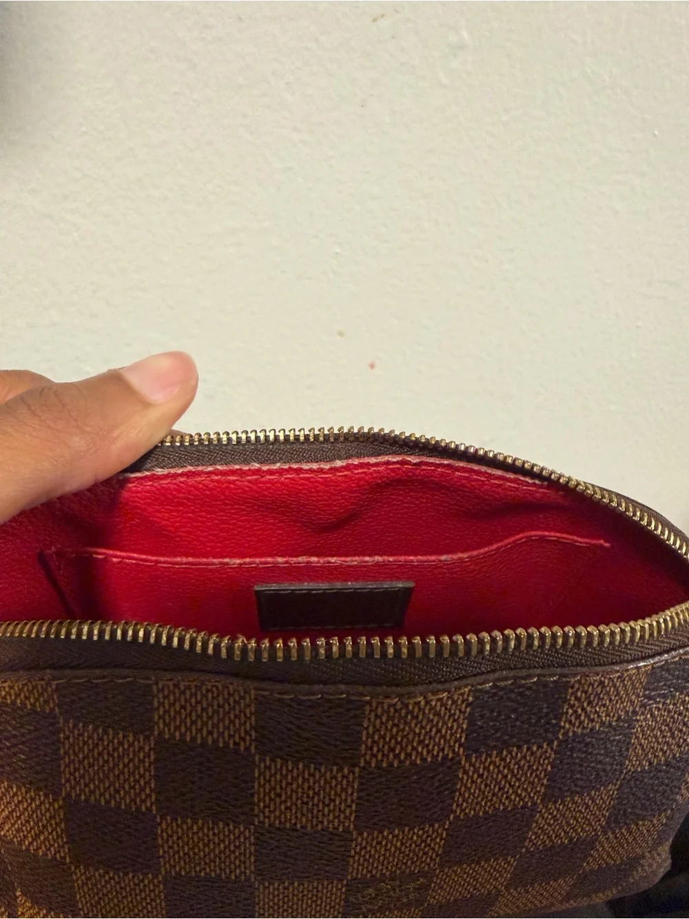 Louis Vuitton Cosmetic Pouch